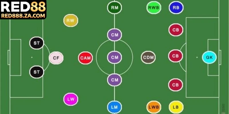 Tổng quan sơ đồ các vị trí trong bóng đá hiện đại