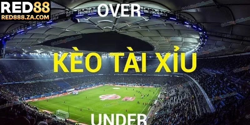 Cách đọc kèo bóng đá tài xỉu bí quyết từ chuyên gia