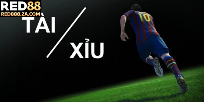 Khám phá cách đọc kèo bóng đá tài xỉu đa dạng lựa chọn