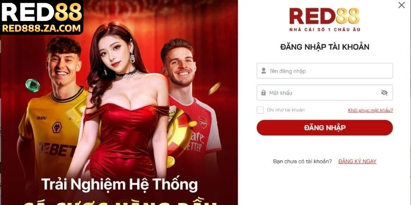 Điền chuẩn xác thông tin đăng nhập yêu cầu trên nền tảng