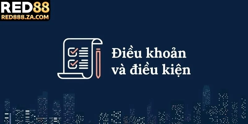 Tổng quát vài nét về điều khoản điều kiện