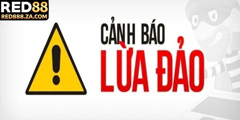 Tham gia trải nghiệm luôn bị thua 