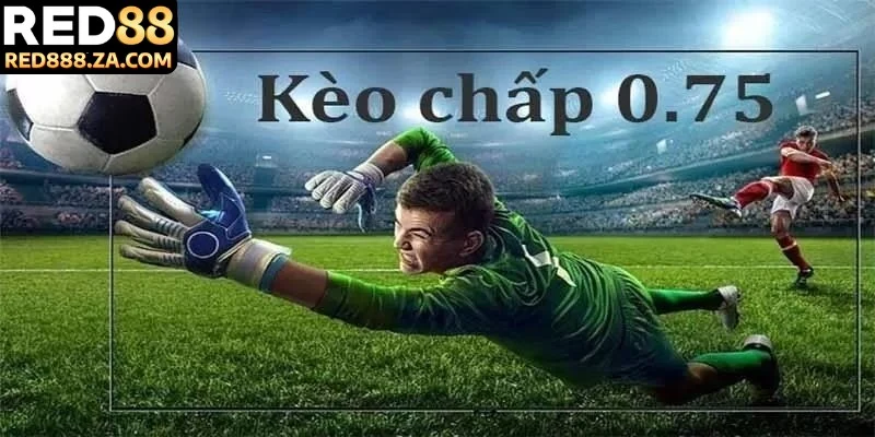 Kèo chấp 0.75 giải thích chi tiết từ a đến z