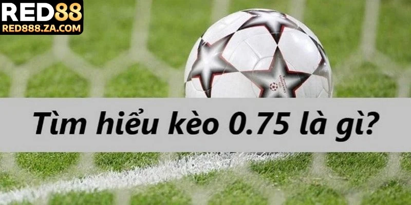 Ví dụ minh hoạ dễ hiểu về kèo chấp 0.75