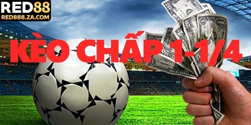 Giải mã kèo chấp 1 4 bản chất và ý nghĩa