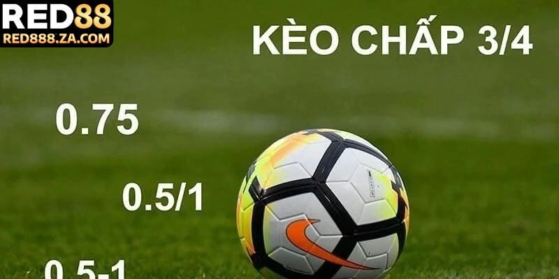 Kết hợp phân tích chuyên sâu và trực giác nhạy bén