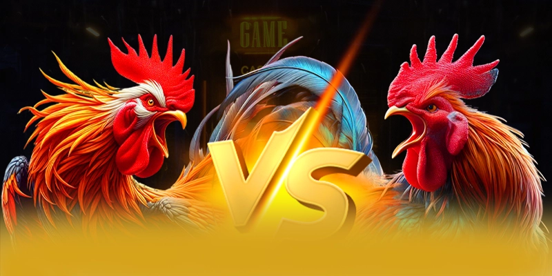 Ưu đãi khủng dành cho thành viên mới và cũ tại 8XBET Ưu đãi khủng dành cho thành viên mới và cũ tại 8XBET